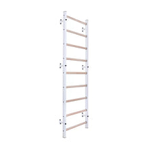 Load image into Gallery viewer, BenchK 700W Swedish Ladder Wall Bars