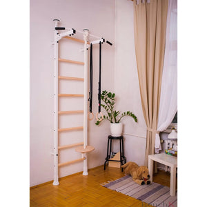 BenchK 521W + A204 Swedish Ladder Wall Bars