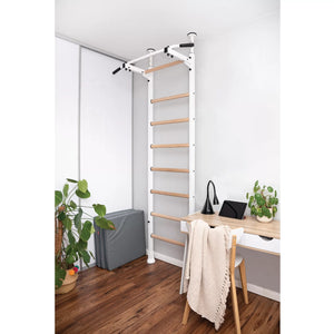 BenchK 521W Swedish Ladder Wall Bars