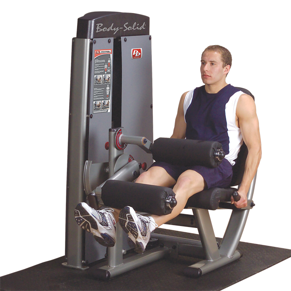 Body-Solid DLEC-F Pro Dual Leg Extension & Curl Machine (no weight stack)