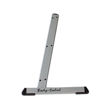 Load image into Gallery viewer, Body-Solid GDR60UP Single Upright for GDR60