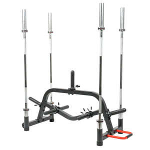 Sunny Health & Fitness Multi-weight Plate And Barbell Rack Storage Stand